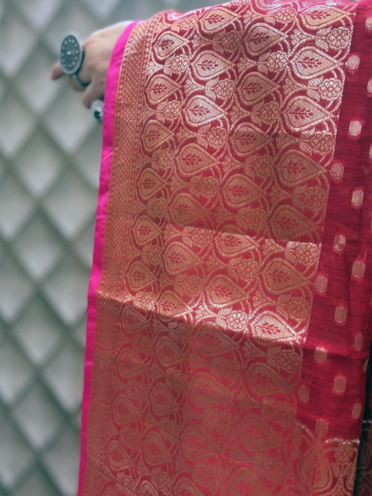 RED ORGANZA BANARSI SAREE